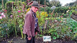 Adolf Bausch hat seine Parzelle in der Kleingarten-Gemeinschaft Haberfeld bereits seit 1986. Als Fachberater für Gartenfragen kümmert er ...