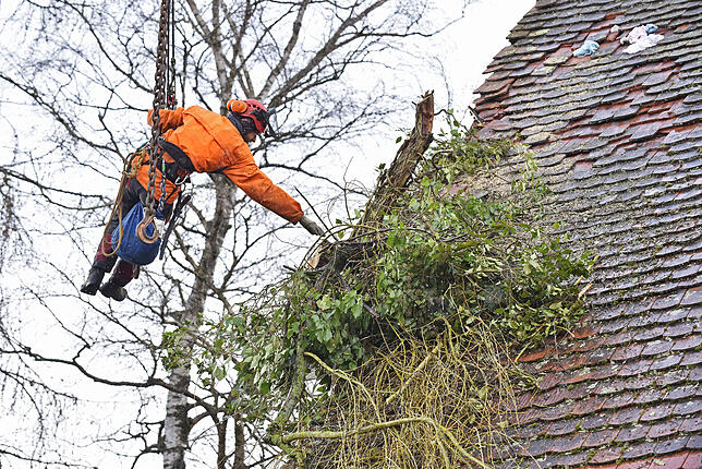 Bild 10: Den Baum am Haken: In Haus gekrachter Baum in der Donaueschinger Straße wird mit dem großem Kran entfernt
