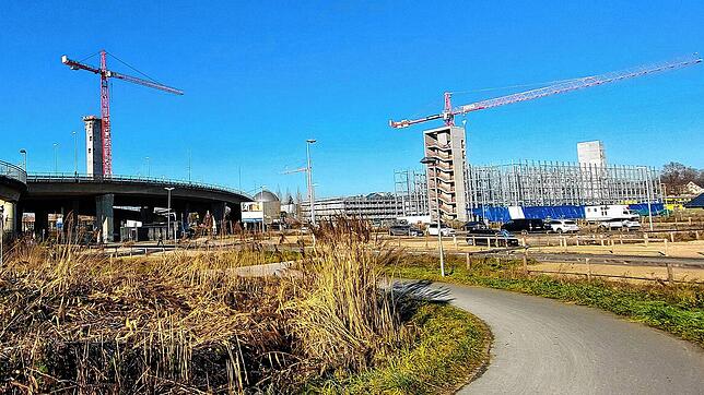 Auf der Nordseite der Schänzlebrücke geht es hoch hinaus. Hier wachsen das Asisi-Panorama (links) und das Parkhaus Brückenquartier ...