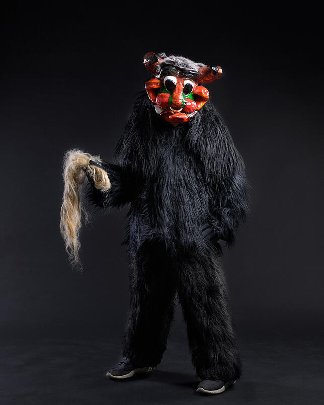 Bild 15: Blätz, Frichtle, Seegeist: Der Narr im Häs macht die Konstanzer Fasnacht zu etwas Besonderem. Aber wer steckt hinter der Maske?