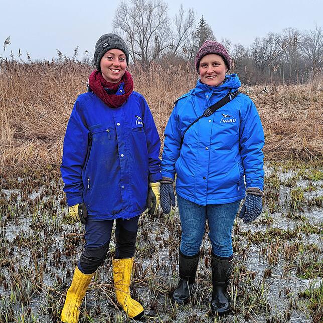 Dem Biber auf der Spur: Ronja Hofer und Lisa Maier (von Links) vom Nabu sind für das Naturschutzgebiet Wollmatinger Ried zuständig und ...