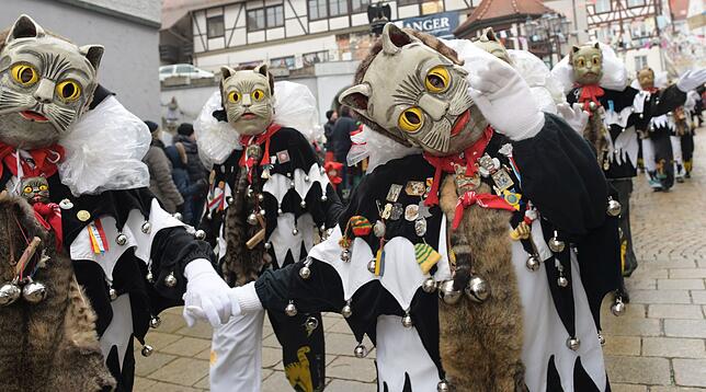Die Katzenzunft Meßkirch wurde von Ansager Karl Fehrenbach auf der Haupttribüne besonders herzlich willkommen geheißen.