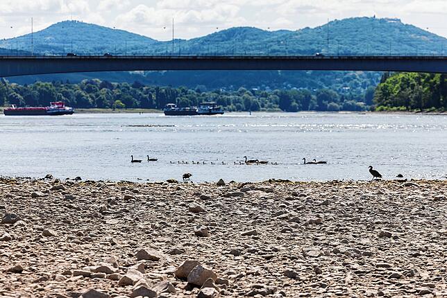 Trotz Trockenheit und Niedrigwasser war der Rhein, wie hier bei Bonn, im Mai 2025 noch befahrbar. Das wird in Zukunft immer seltener der ...