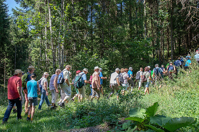 Die Lust am Wandern hat bislang in dieser Saison viele Naturfreunde in die Region gelockt.