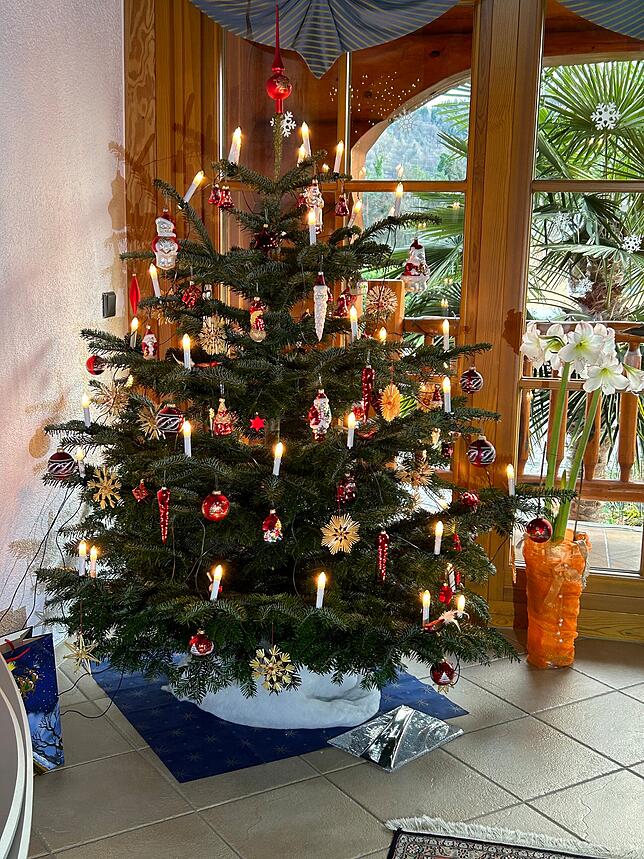 Roland Schneider aus Hohentengen schickte ein Bild seines Weihnachtsbaums bei schönen Sonnenschein.