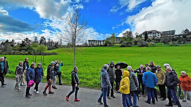 Bis hier soll die Bebauung der Wiese gehen und aus Sicht der Stadtplanung das Siedlungsgebiet &bdquo;abrunden&ldquo;. Oben sind Teile ...