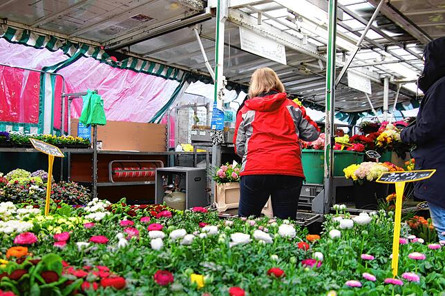 Die schöne Welt der Blumen wie an diesem Stand in zugegebenermaßen schwierigen Zeiten. Ein Kontrastpunkt.