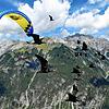 Waldrappe fliegen über die Alpen. Das Bild entstand 2018 und soll künftig der Vergangenheit angehören. Die nächste menschengeführte ...