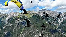 Waldrappe fliegen über die Alpen. Das Bild entstand 2018 und soll künftig der Vergangenheit angehören. Die nächste menschengeführte ...