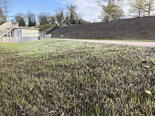 Bild 2: Wir nehmen Sie mit auf einen Rundgang über die Baustelle im Freibad Tiengen