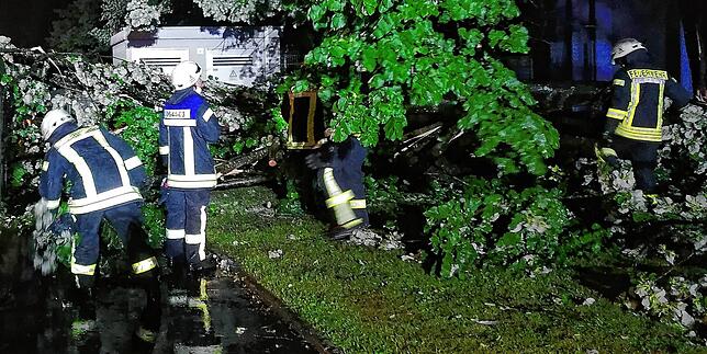 Die Feuerwehr Konstanz im Einsatz am 24. Juni: Das Gewitter brachte einen Baum im Konstanzer Industriegebiet zum Umstürzen, er landete ...