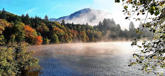 Nebel taucht den Bergsee Bad Säckingen in ein besonderes Licht.