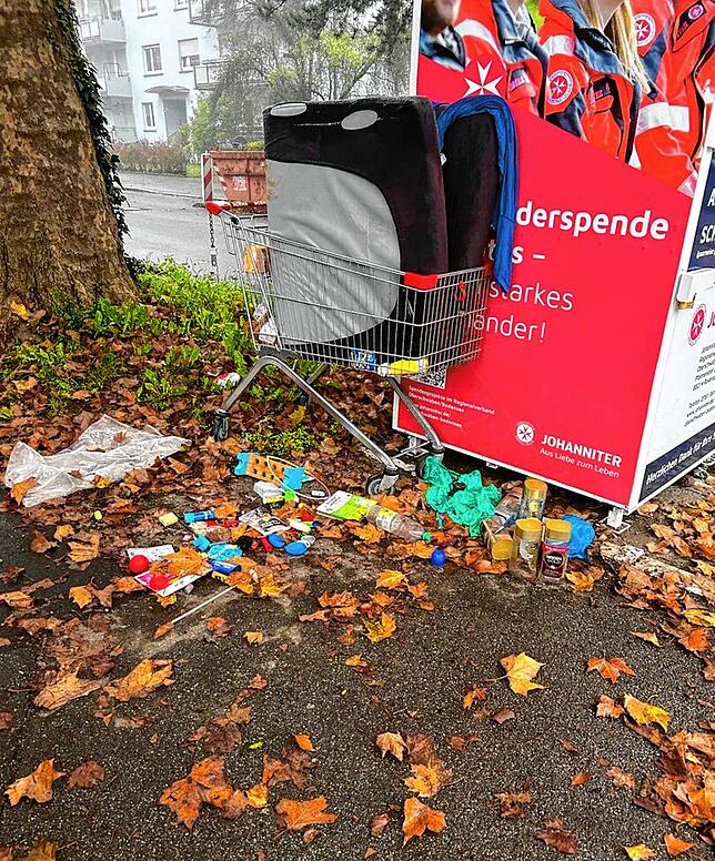 Auch dieses Foto wurde über die Melde-App eingereicht. Häufig zählen auch größere Möbelstücke zum wilden Müll.