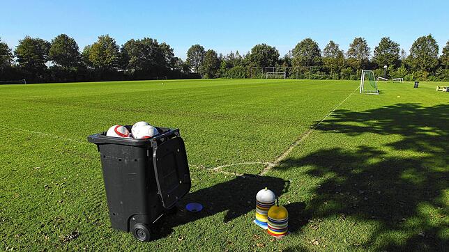 Für die Zweitplatzierten ist die Saison scheinbar für den Eimer. Geht es nach der Lösung des Südbadischen Fußballverbands, haben sie ...