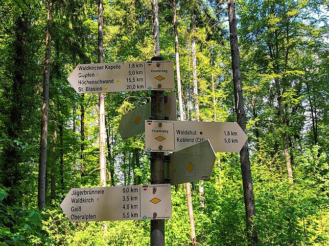 Bild 6: Wandern vor der Haustür (Teil 2): Vom Eschbacher Wasserschloss zum Pusteblumen-Paradies