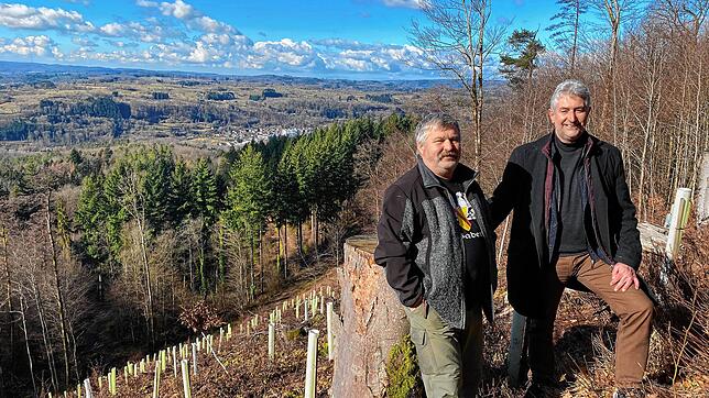 Helmut Steinebrunner (links) und Michael Thater genießen die Aussicht vom Wehrer Waldberg so lange sie noch frei ist. 500 Bäume sind an ...