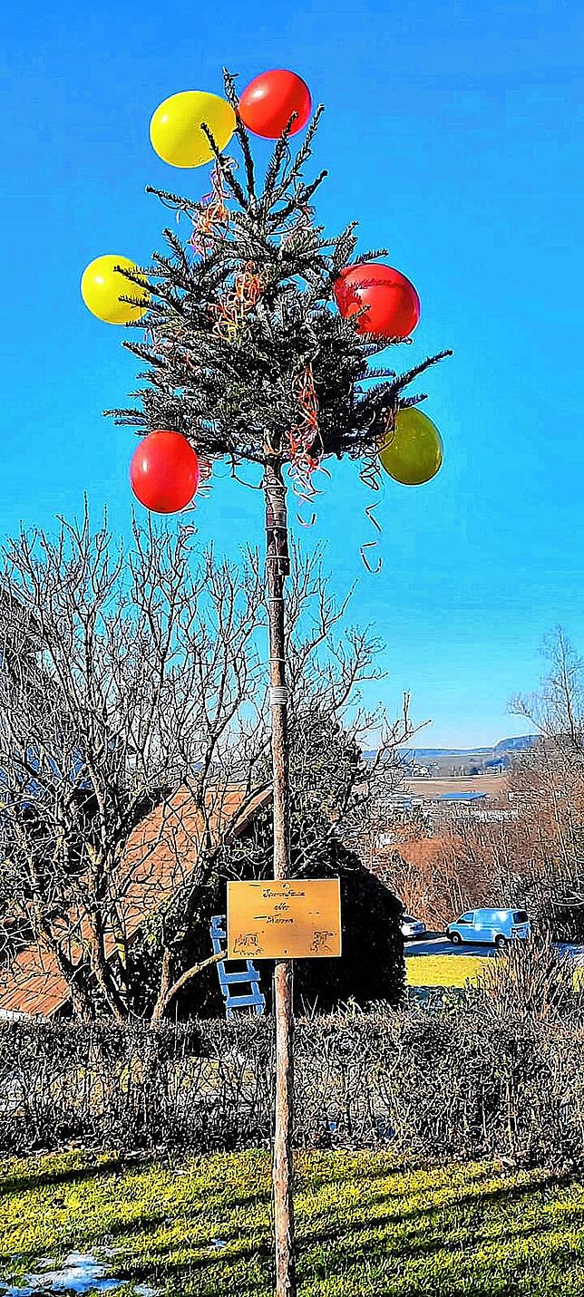 Der Narrenbaum von Jürgen Schmidt
