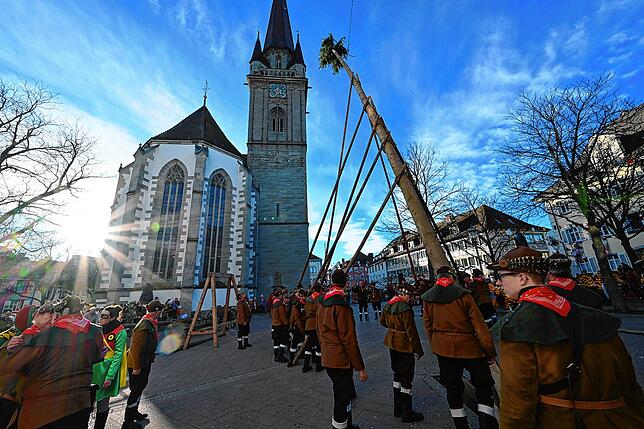 Bild 20: Alle Bilder vom Narrenbaumstellen der Narrizella Ratoldi auf dem Marktplatz