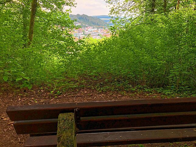 Bild 5: Wandern vor der Haustür (Teil 1): Durch den Bärlauchwald zum Waldshuter Lindenbuck