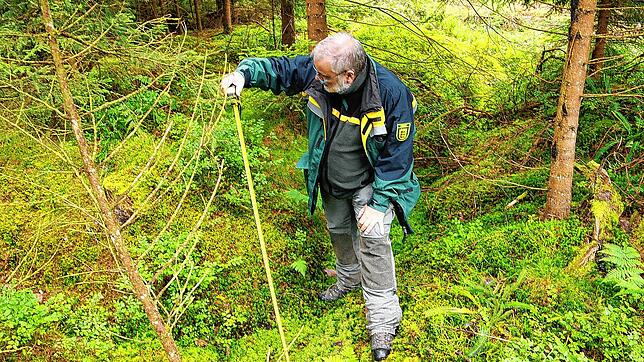 Bis zu einem Meter tief sind die alten Entwässerungsgräben, die nun so verpfropft werden, dass etwa 100 kleine Tümpel im Wald entstehen.