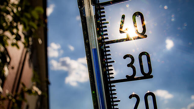 Bis zu 40 Grad Celsius müssen die Fahrer aushalten.