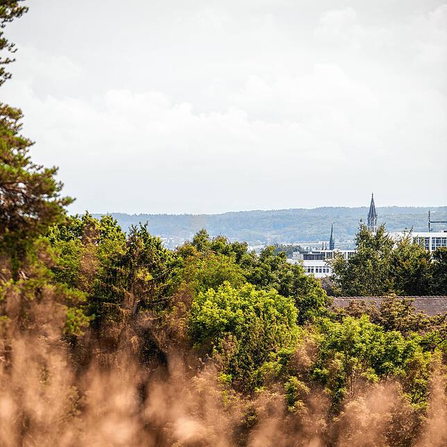 Auch vom Fürstenberg aus reicht der Blick bis zum Konstanzer Trichter.