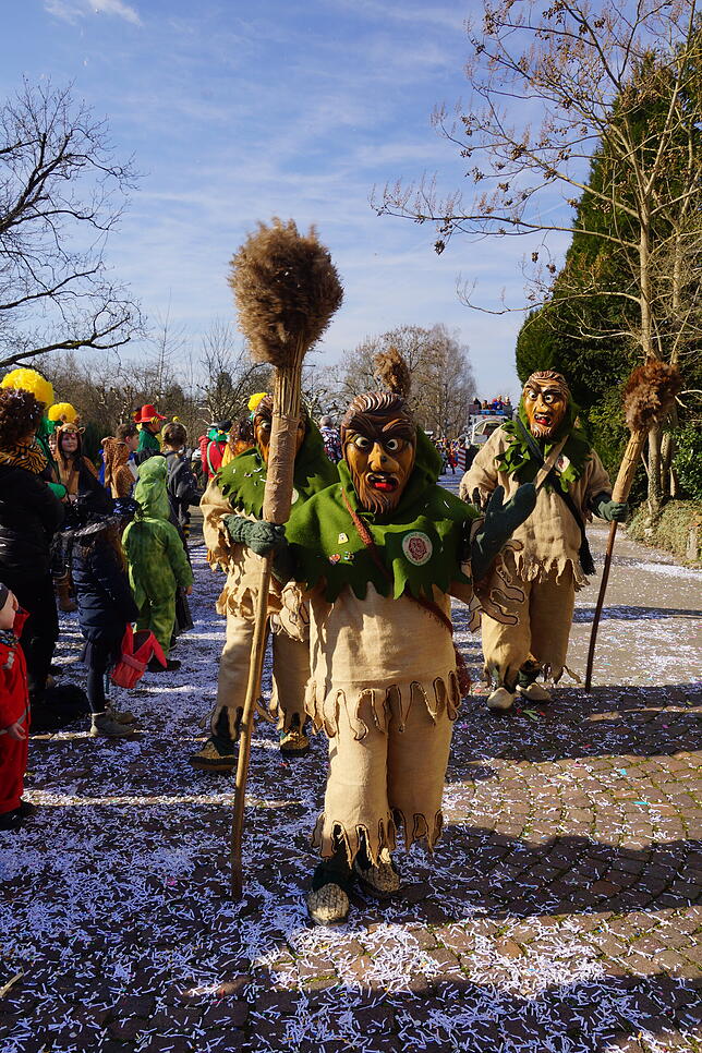 Bild 12: 43. Küssaberger Narrentreffen: Märchenhafte Fasnacht in Rheinheim
