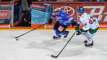 Nach fünf Jahren in Ingolstadt kehrt Mirko Höfflin (links) wieder zu den Wild Wings zurück. Er ist einer der wenigen Schwenninger ...