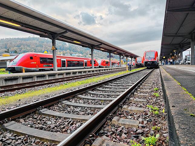 Die Hochrheinbahn ist erneut die schlechteste Verbindung in Baden-Württemberg.