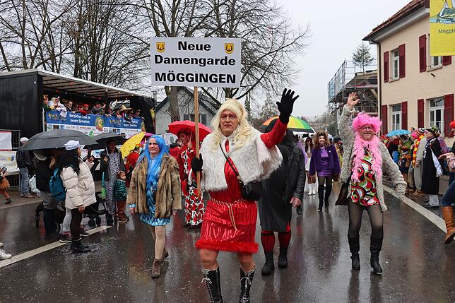 Bild 17: Großer Festumzug in Möggingen: Tausende besuchen das Seenarrentreffen trotz Regen!