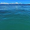 Die Farben des Bodensees können insbesondere im Sommer von einem tiefen Blau bis hin zu Türkis reichen.