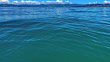 Die Farben des Bodensees können insbesondere im Sommer von einem tiefen Blau bis hin zu Türkis reichen.