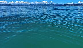 Die Farben des Bodensees können insbesondere im Sommer von einem tiefen Blau bis hin zu Türkis reichen.