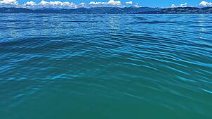 Die Farben des Bodensees können insbesondere im Sommer von einem tiefen Blau bis hin zu Türkis reichen.