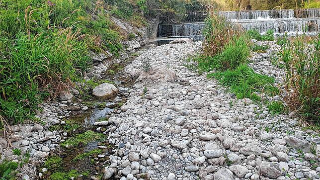 Die Wutach am Hartmannswehr zwischen Wutöschingen und Oberlauchringen.