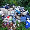 Immer wieder kommt es zu illegalen Abfallentsorgungen (Symbolfoto), wie hier in einem Wald bei Effingen im August 2021.