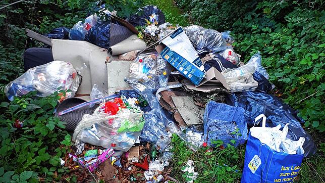 Immer wieder kommt es zu illegalen Abfallentsorgungen (Symbolfoto), wie hier in einem Wald bei Effingen im August 2021.