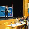 Stand am Freitag noch auf der Bühne beim AfD-Bürgerdialog in Rielasingen-Worblingen: Landtagsabgeordneter Bernhard Eisenhut. Nun ist er ...