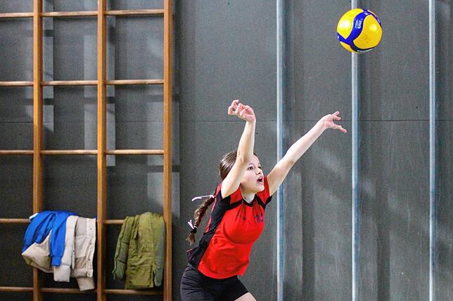 Bild 13: U14-Volleyballerinnen qualifizieren sich für baden-württembergische Meisterschaften
