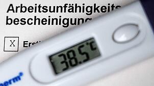 Erkältung und Grippe haben im Südwesten für viele Fehltage gesorgt.