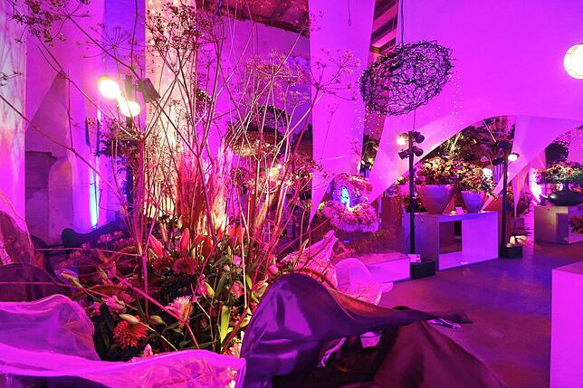 Dienstag, 7.20 Uhr: Das Licht passt. Die finale Blumenschau „Es war zauberschön“ ist fertig. In knapp zwei Stunden kommen ...