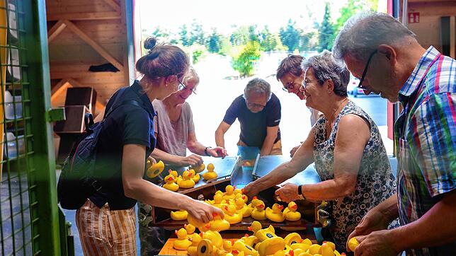 Viele fleißige Hände sind beim Scannen der gelben Gummitiere für das Entenrennen beim Seehasenfest gefragt: (von links) Sabine Reichert, ...