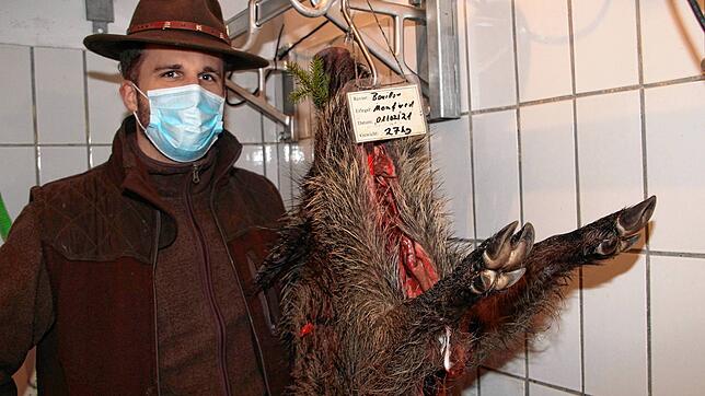 Im Revier von Manfred Bouillon oberhalb von Fützen hat Benjamin Beveberg am Montag, 1. Februar, dieses Wildschwein geschossen.
