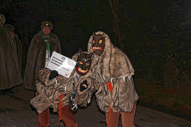 Bild 38: Bilder vom Nachtumzug beim Kleggau-Narrentreffen am Samstag