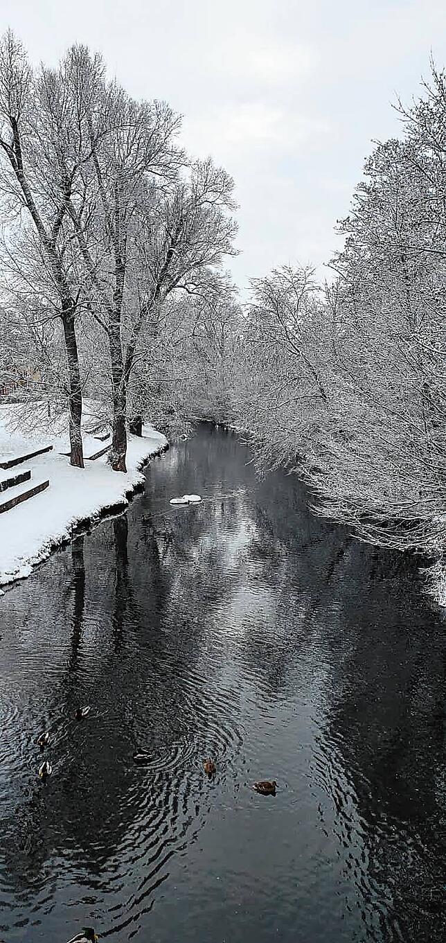 Bild 6: Winterwunderland im Südwesten: Die schönsten Schneebilder aus unserer Region