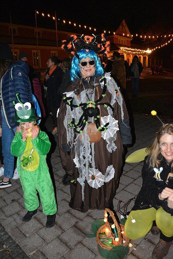 Bild 8: Narrentreffen der Urviecher-Zunft: Bilder vom Eröffnungsumzug (2)