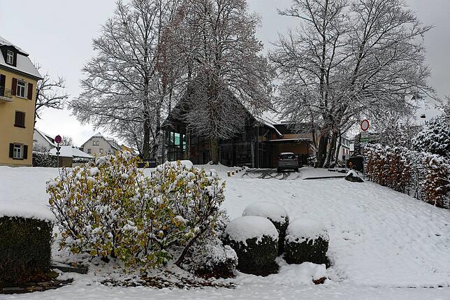 Bild 7: So schön grüßt der Winter aus Heiligenberg