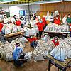 Das Seehasen-Helferteam in der Grundschule Fischbach war fleißig und hat 650 Taschen für die Erstklässler gepackt.