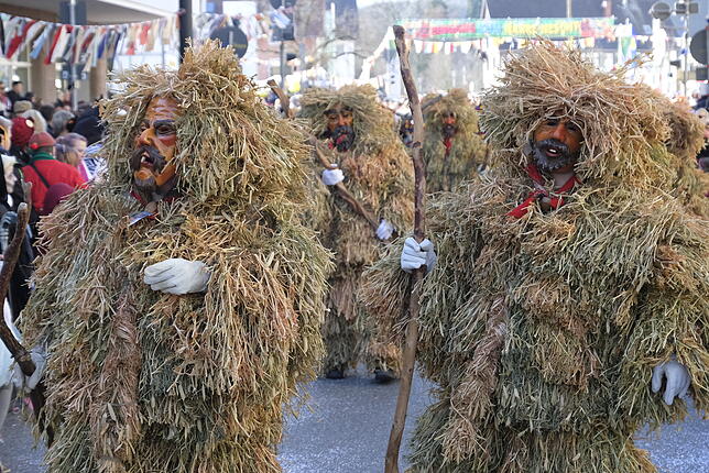 Bild 24: Bilder vom großen Fasnet Samschdig-Umzug der Poppele-Zunft (1)