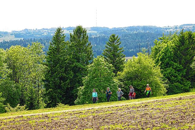 Bild 27: 180 Teilnehmer beim 42-Kilometer-Wandermarathon: Das sind die Bilder